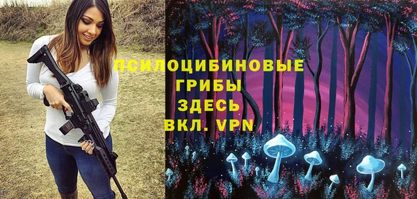 гашик Баксан