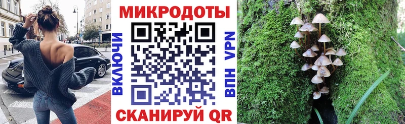 продажа наркотиков  Сибай  Галлюциногенные грибы прущие грибы 